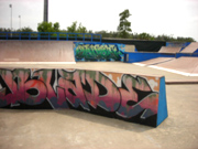 edge skatepark naples